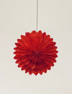 Adventsstjärna 'Lotus' 45cm - Röd