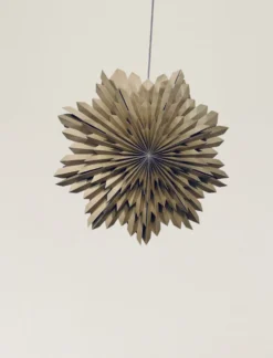 Adventsstjärna 'Oslo' 80cm - Brun