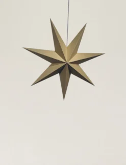 Adventsstjärna 'Sally' 60cm - Brun