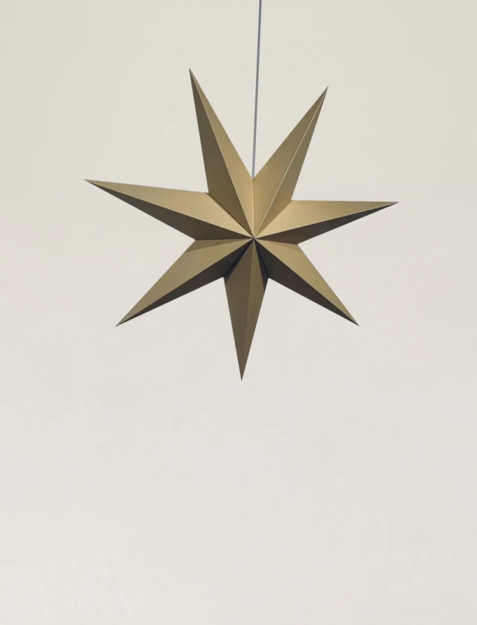 Adventsstjärna 'Sally' 60cm - Brun
