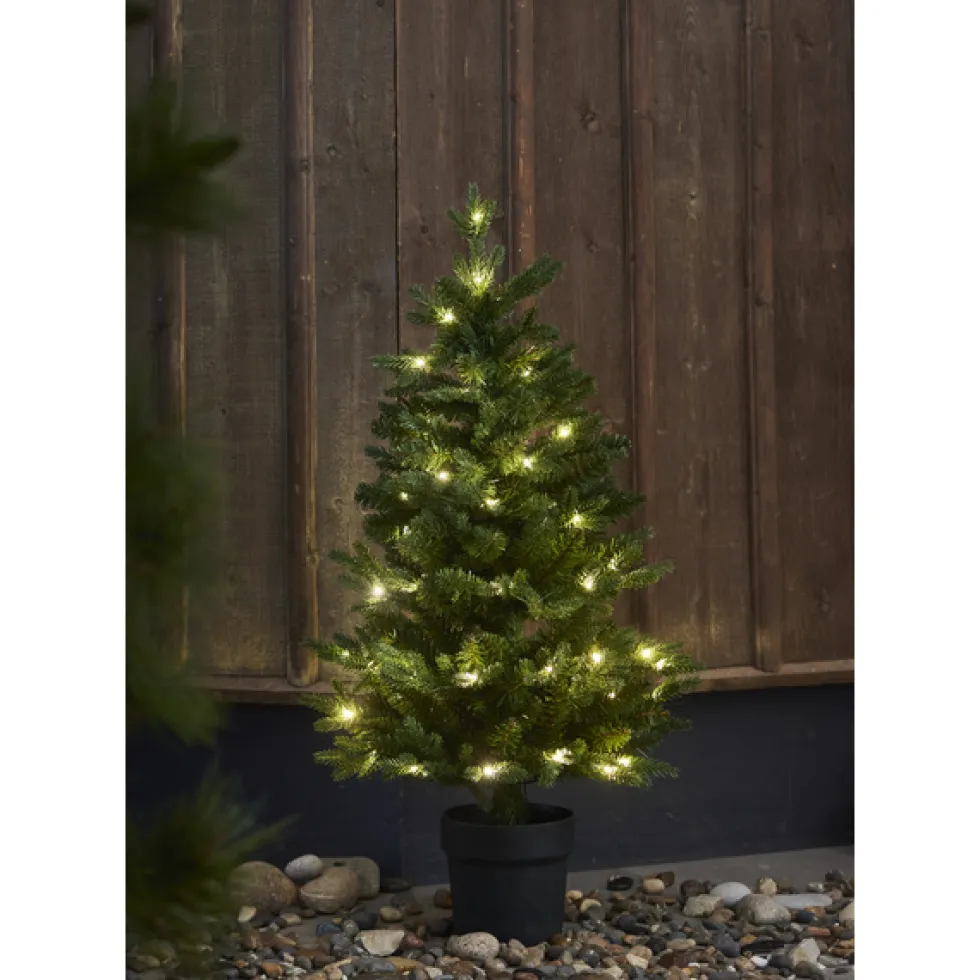 Julgran 'Byske Belysning' - Grön