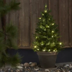 Julgran 'Byske Belysning' - Grön